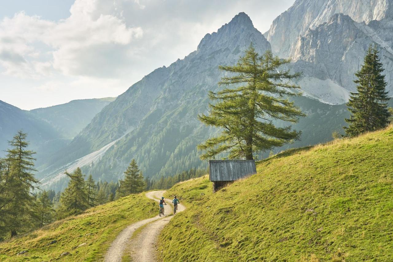 Adlernest Ramsau am Dachstein Exterior foto